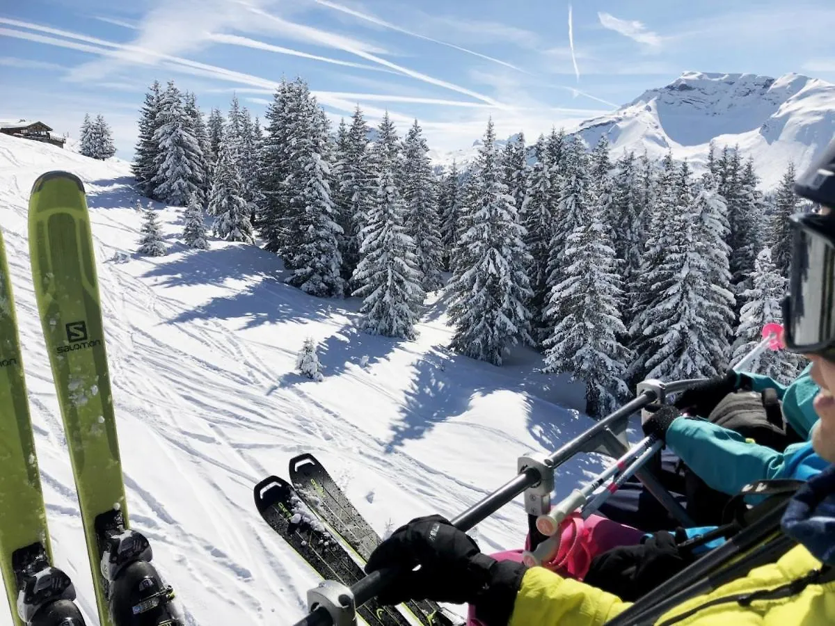 Apartament Edelweiss Morzine